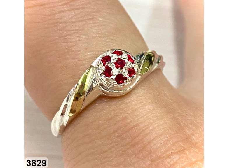 112 AN 03829 FRUTILLA ROJO