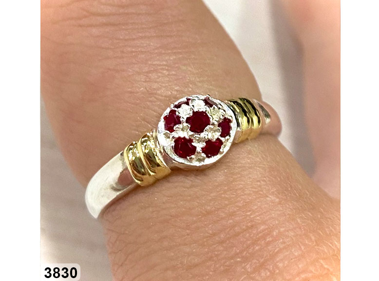 112 AN 03830 FRUTILLA ROJO