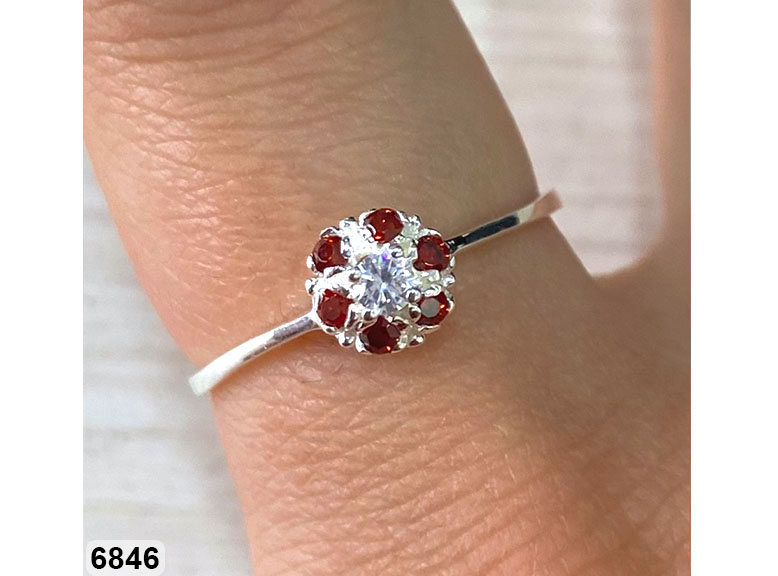 15 AN 06846 ROJO
