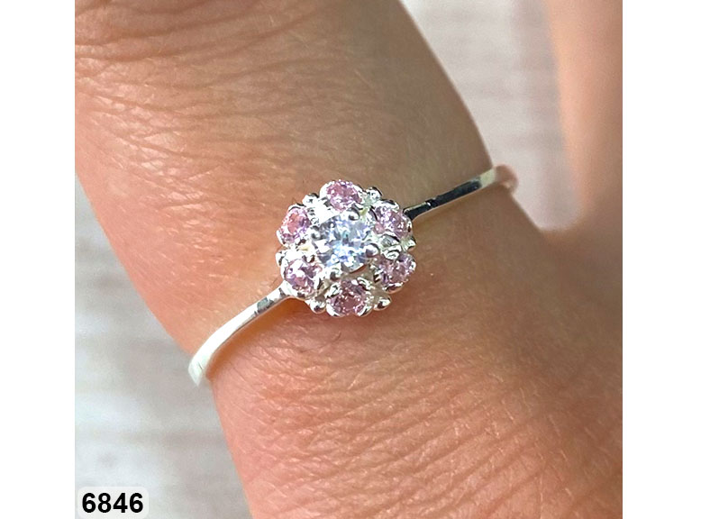 15 AN 06846 ROSA