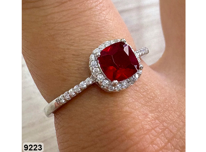 26 AN 09223 ROJO