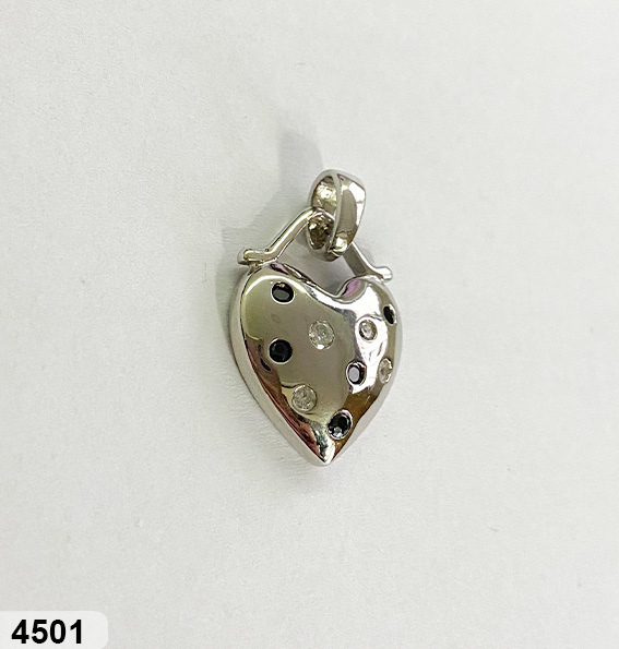 77 PI 04501 BYN 20% DESCUENTO